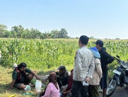 Polsek Wonoasih Perkuat Ketahanan Pangan Lewat Dialog dengan Petani Jagung