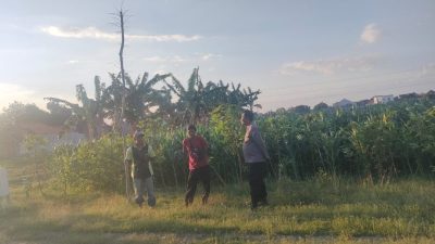 Patroli Polsubsektor Kanigaran Sambangi Petani Jagung, Perkuat Kamtibmas dan Dukung Ketahanan Pangan