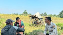 Polsek Wonoasih Perkuat Ketahanan Pangan Lewat Dialog Bersama Petani