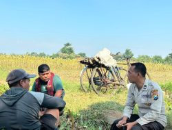 Polsek Wonoasih Perkuat Ketahanan Pangan Lewat Dialog Bersama Petani