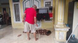 Polda Banten Sampaikan Hasil Penelusuran Informasi Dugaan Penculikan Anak yang Viral di Media Sosial