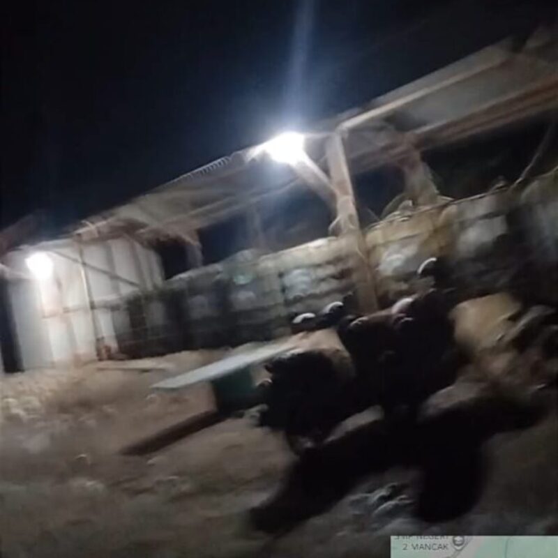 Diduga Lapak Solar Ilegal untuk Kebutuhan Alat Berat di Batukuda Mancak Dibekingi Oknum Berseragam Disorot,Ketum GWI Minta Pihak Berwenang Bertindak Tegas