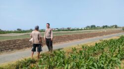 Polisi Sambangi Petani di Sumbertaman Probolinggo, Bahas Ketahanan Pangan