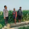 Polisi Sambangi Petani Jagung di Jrebeng Kidul Probolinggo