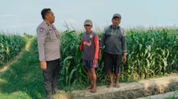 Polisi Sambangi Petani Jagung di Jrebeng Kidul Probolinggo